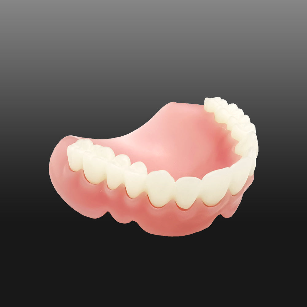 VASDEN 3D Printing Denture Base Resin liquid